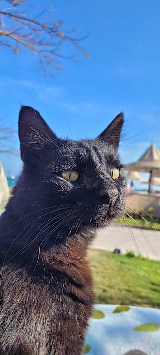 Sport & Freizeit The Grand Palace - Adults only