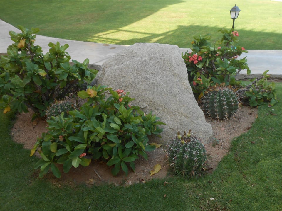 Gartenanlage Jaz Solaya