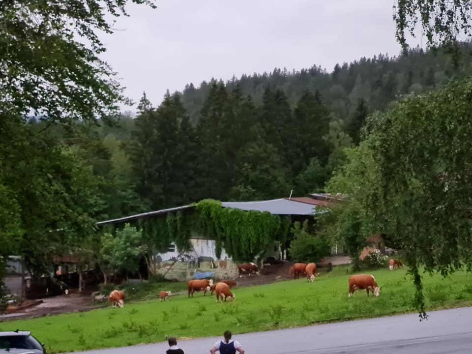 Ausblick 1. Bier & Wohlfühlhotel Gut Riedelsbach