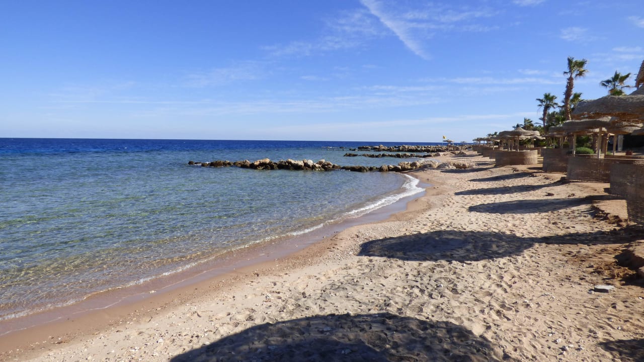 Rotes Meer Pickalbatros Citadel Resort