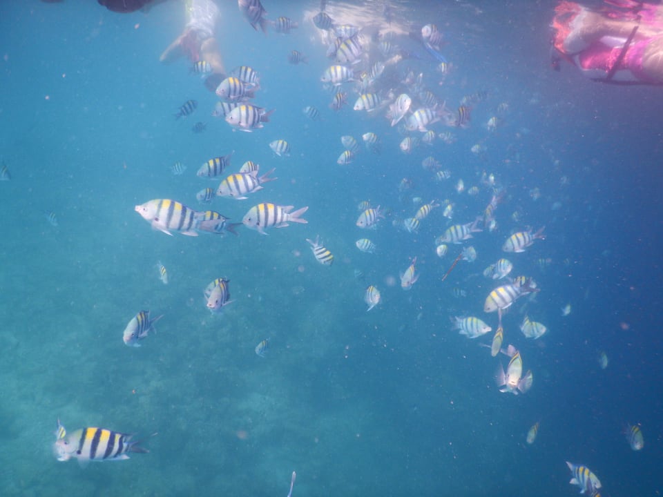 Am Hausriff Kuredu Island Resort & Spa