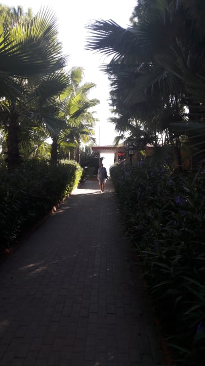 Gartenanlage Club Turtas Beach Hotel