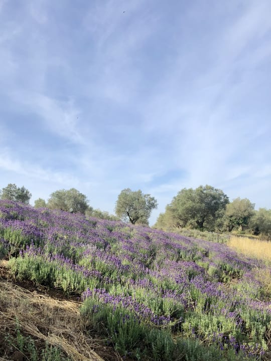 Ausblick Landhaus La Piantata