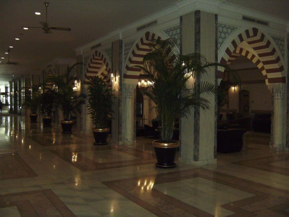 Lobby Balmy Foresta