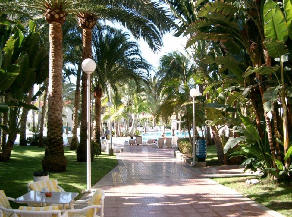 Zugang Pool RIU Palmeras Hotel Riu Palace Palmeras