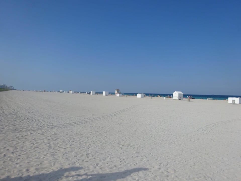 South Beach Hotel Ocean Five