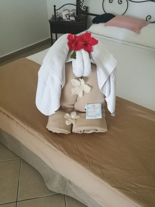 Zimmer Iberostar Origin Playa Alameda