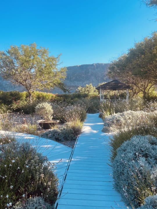 Gartenanlage Aquagrand Artistic Luxury Beach Resort - Adults only