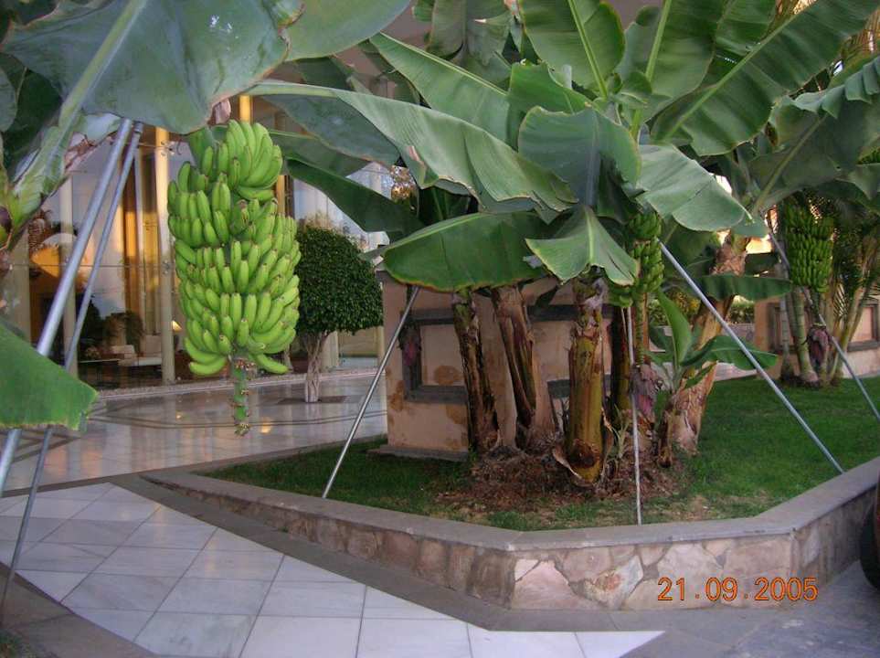 Costa Adeje Gran Hotel GF Gran Costa Adeje