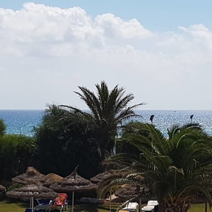 Ausblick TUI MAGIC LIFE Africana