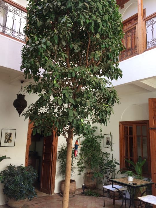 Gartenanlage Hotel Riad Irene