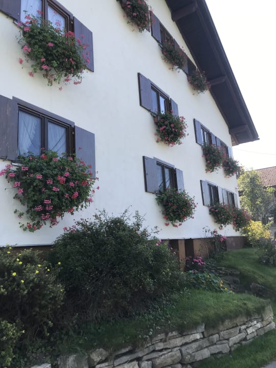 Ausblick Ferienwohnung Landhaus Jörg