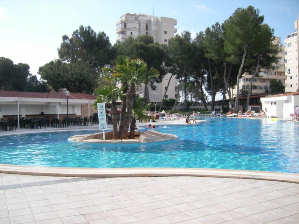 Poolansicht mit Poolbar BQ Belvedere Hotel