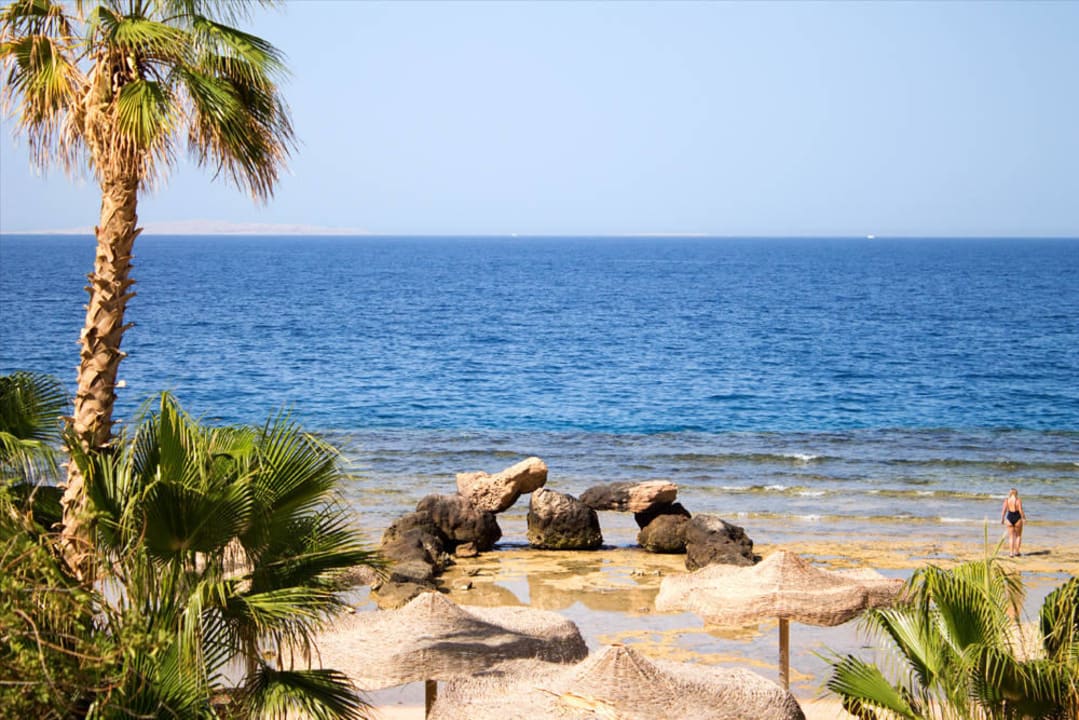 Strand  Pickalbatros Citadel Resort