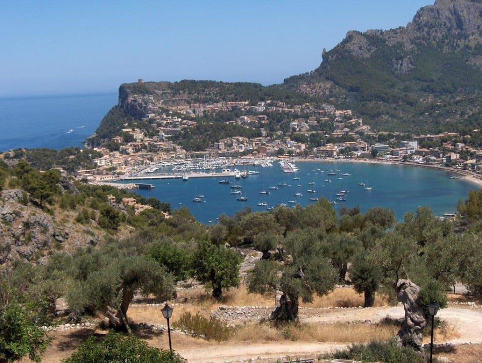 Blick über Olivenhain Finca Muleta de Ca S'Hereu