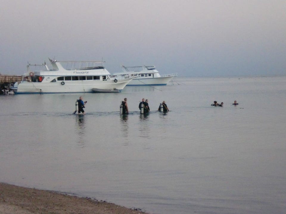 Early morning dive Utopia Beach Club