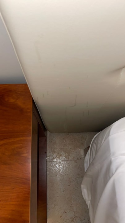 Zimmer Live Aqua Punta Cana - All Inclusive - Adults Only