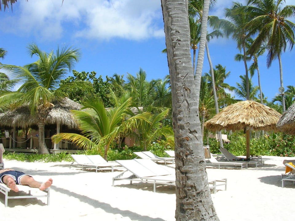 Royal Strandbar Catalonia Royal Bavaro - Adults only