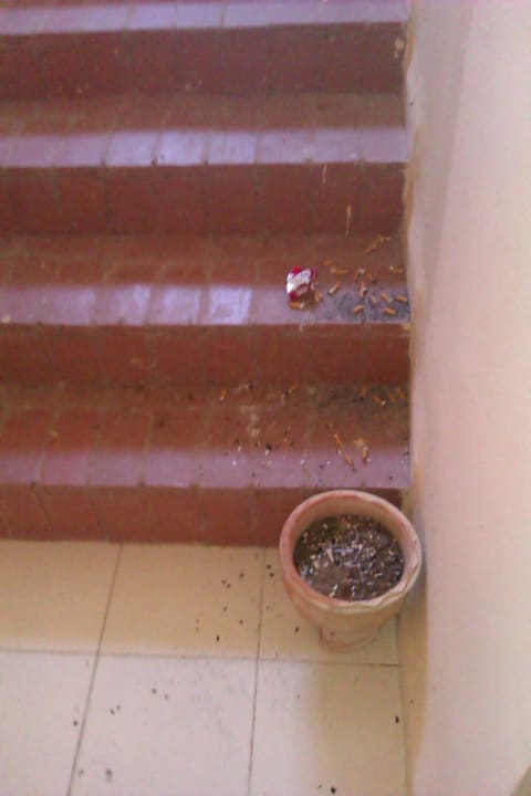 Treppenaufgang schön dekoriert am 1. Tag Hotel African Queen