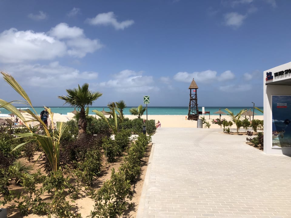 Gartenanlage Hotel Riu Palace Boavista