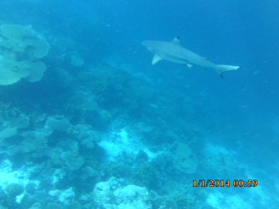 Hai ROBINSON MALDIVES