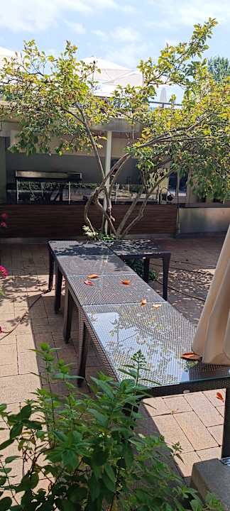 Gastro Hotel Ambasador - Liburnia