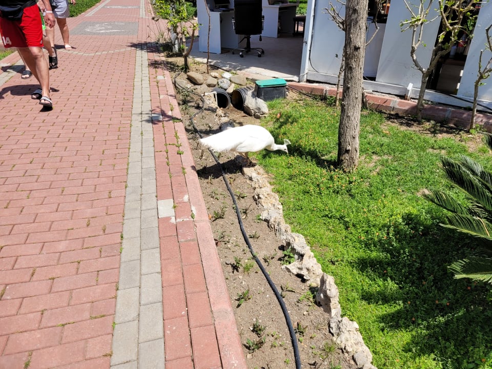 Sonstiges Seaden Sea World Resort & Spa