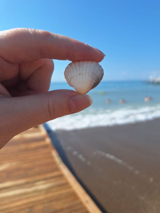 Strand Saturn Palace Resort Hotel