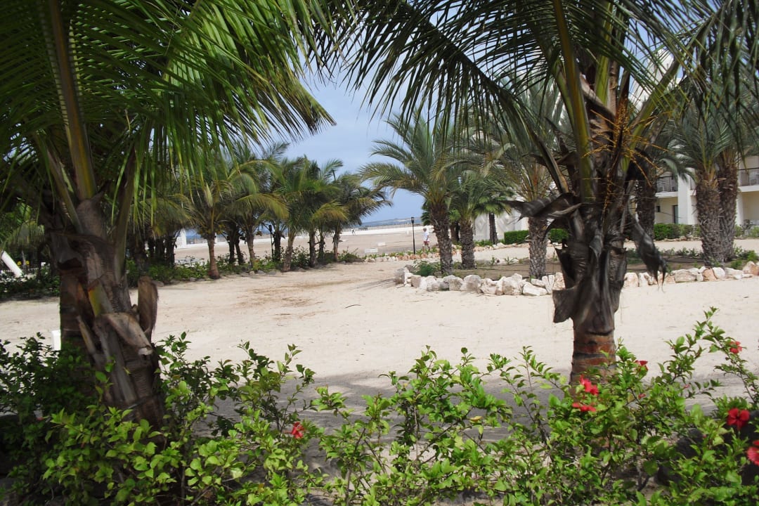 Grün und viel Sand Hotel Riu Karamboa