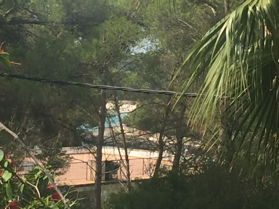 Gartenanlage Hotel Condemar