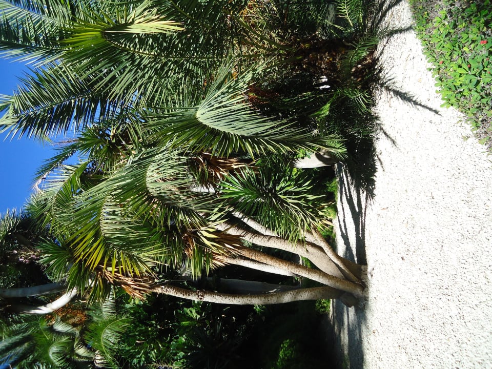 Vor dem Hotel Apartments La Paz