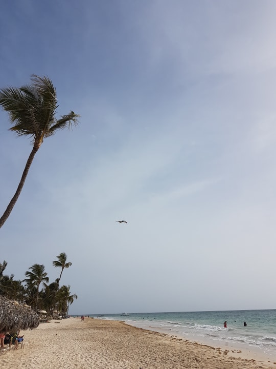 Strand Punta Cana Princess All Suites Resort & Spa