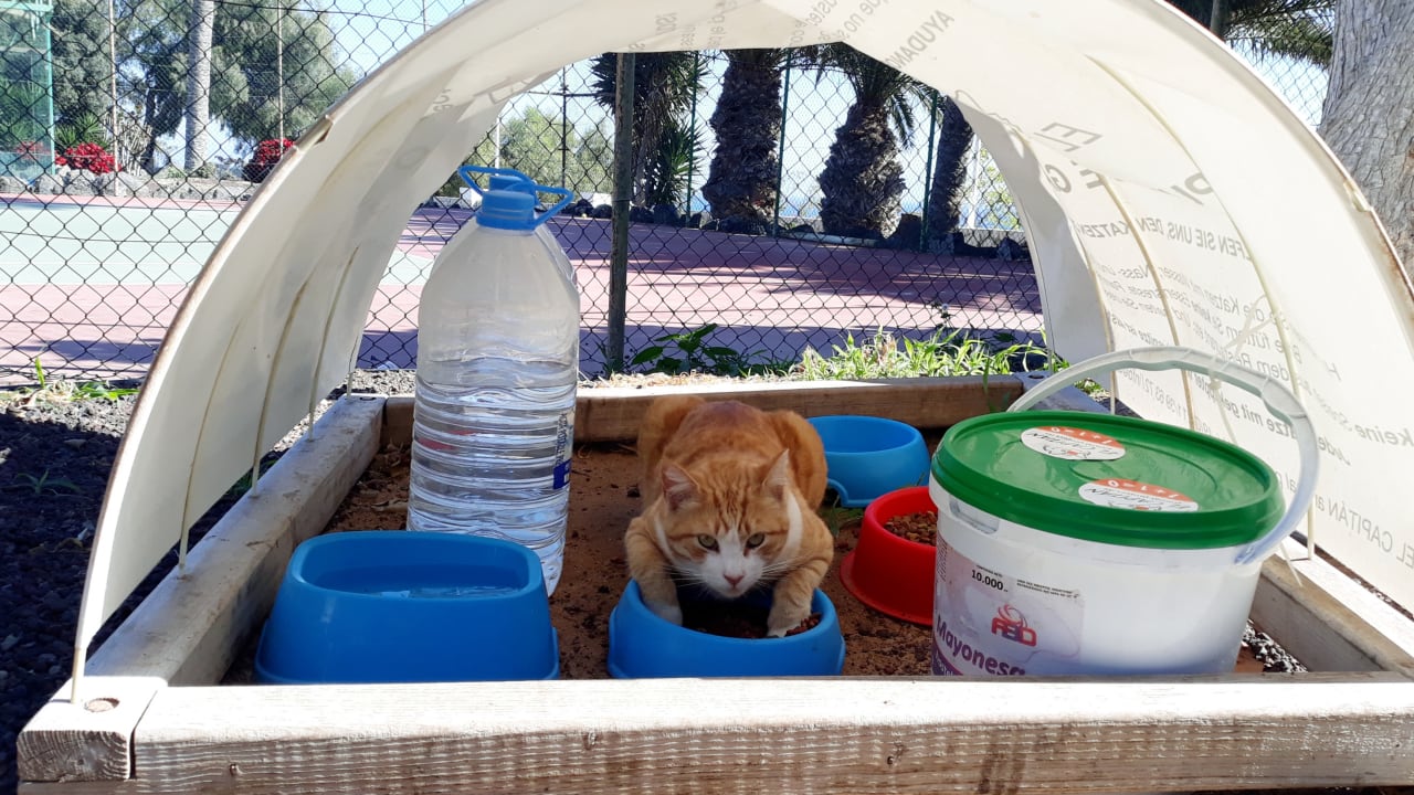 Gartenanlage SBH Club Paraiso Playa