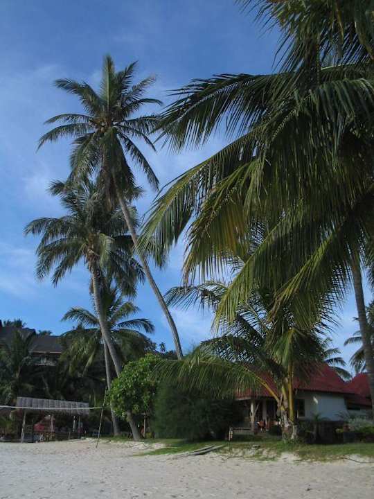 am Strand, im Paradies Long Bay Resort Koh Phangan