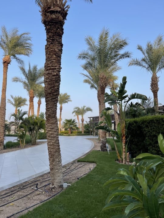 Gartenanlage JAZ Elite Casa del Mar Beach