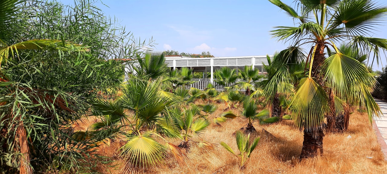 Gartenanlage Alba Resort Hotel