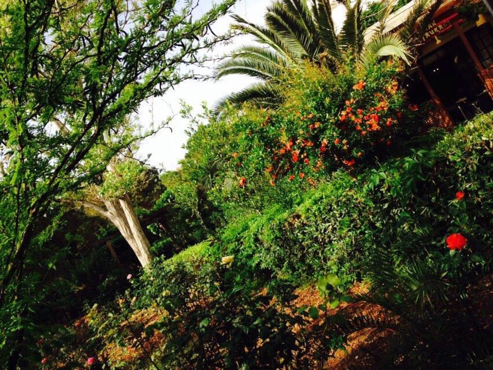 Traumhaft Apollonia Beach Resort & Spa
