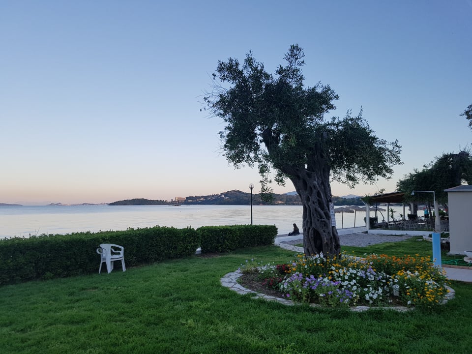 Gartenanlage Elea Beach Hotel