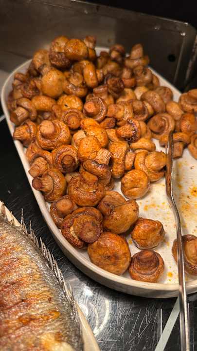 Gastro Acanthus Cennet Barut Collection