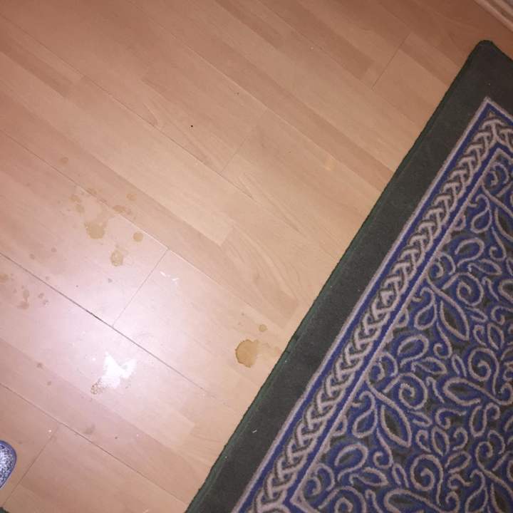 Flur Oscar Resort Hotel