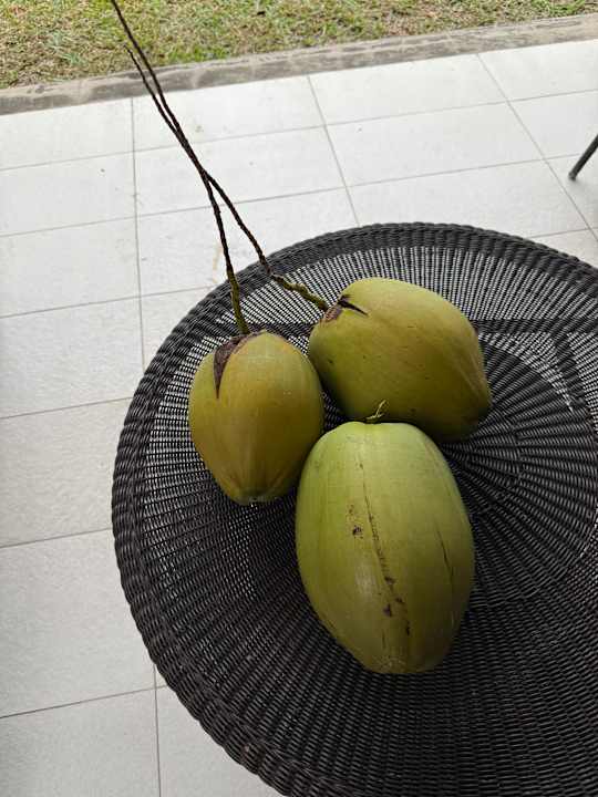 Sonstiges Crystals Beach Resort Belle Mare, a member of Radisson Individuals