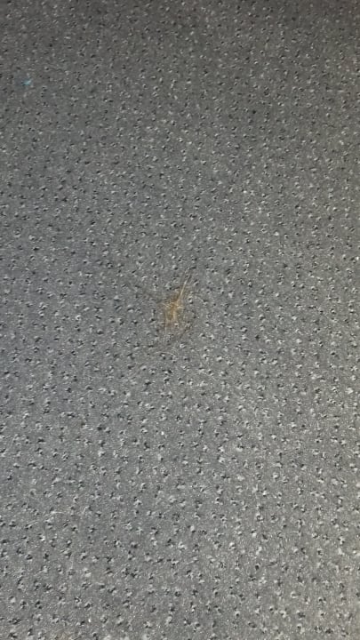 Zimmer Hotel Jägerstuben