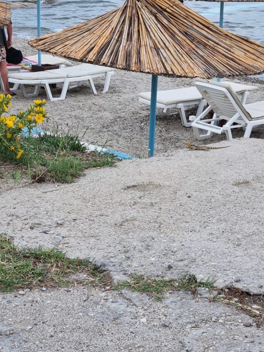 Strand Kalimera Mare