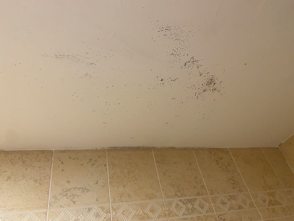 Zimmer Zafiro Mallorca