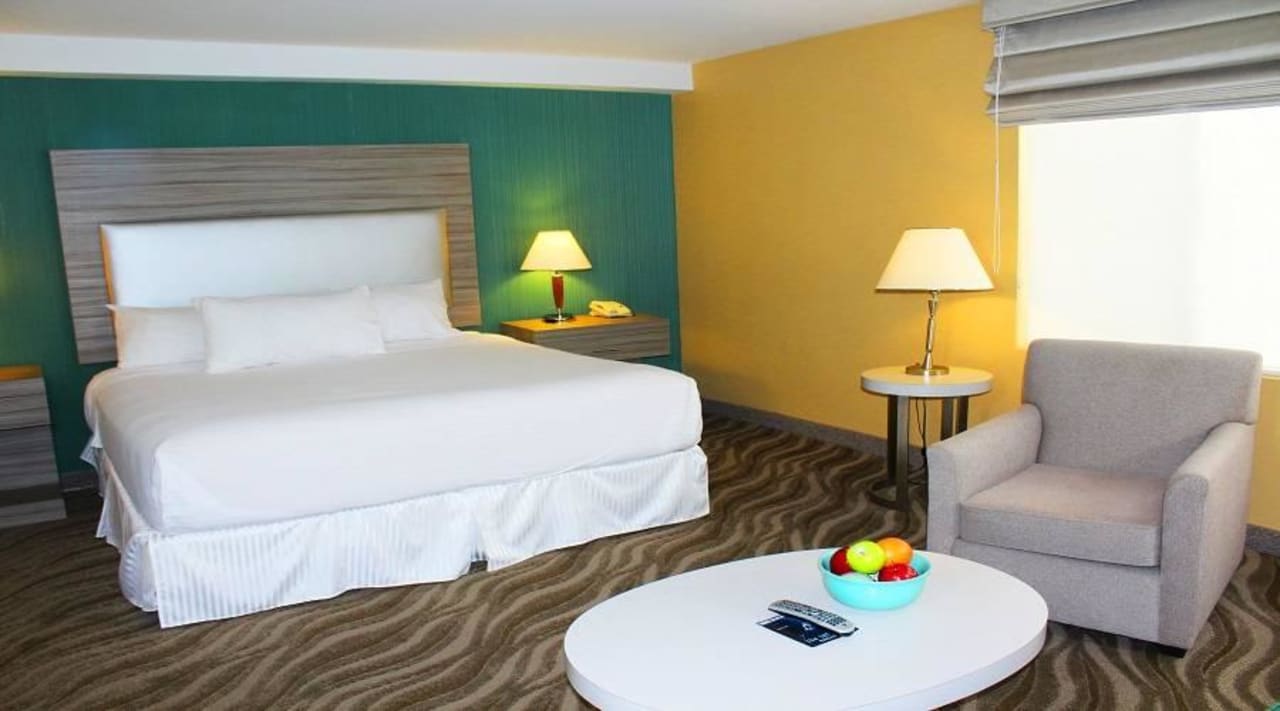  1 King Studio Suite Porto Vista Hotel