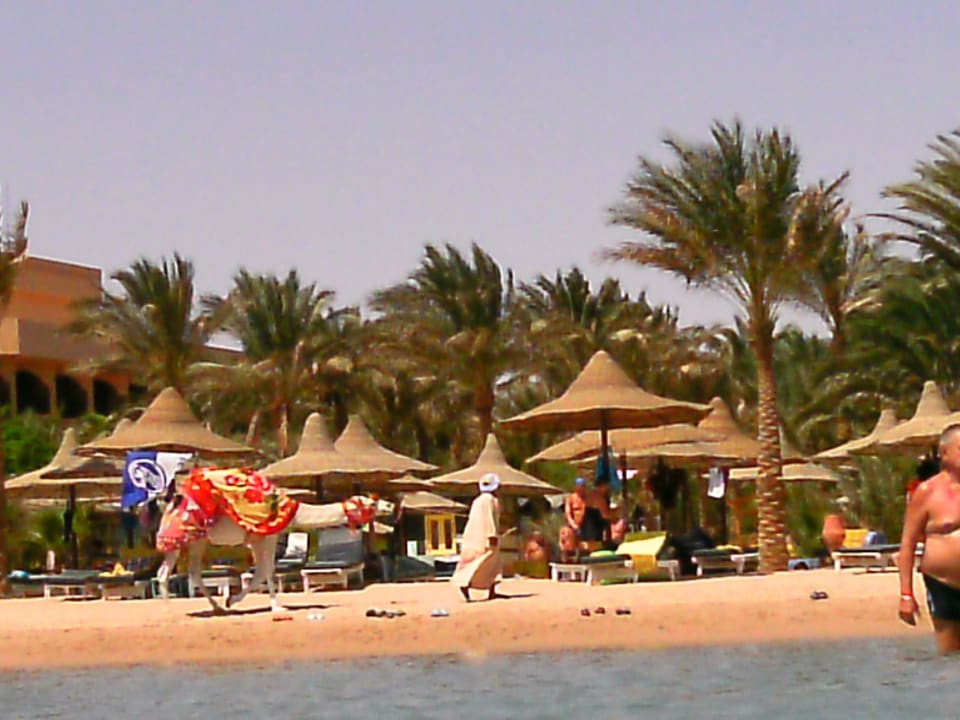 Aus dem Wasser zum Strand Giftun Azur Resort