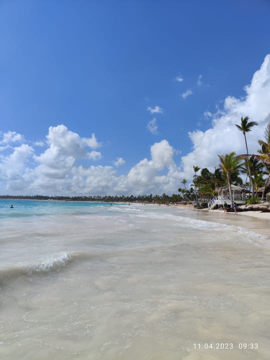 Strand VIK Hotel Arena Blanca