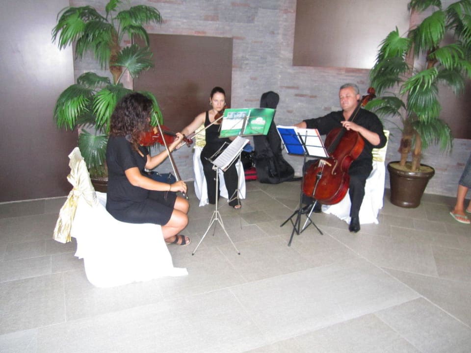 Violin and cello being played on white night Limak Lara Deluxe Hotel & Resort