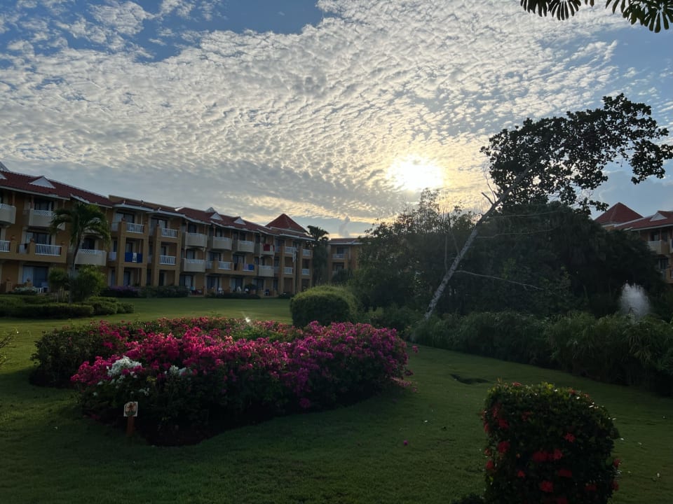 Gartenanlage Hotel Viva Dominicus Palace by Wyndham-All Inclusive Resort