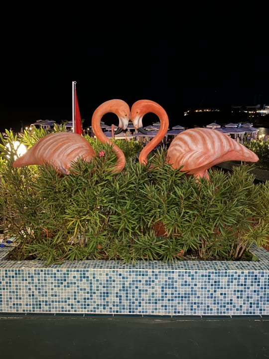 Gartenanlage Granada Luxury Okurcalar